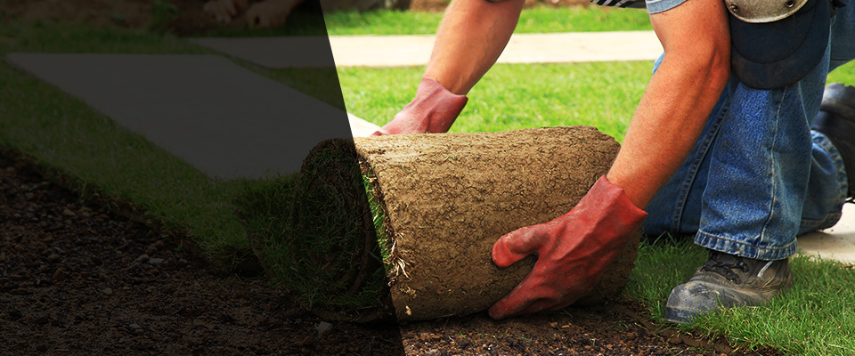 Libertyville Landscapers